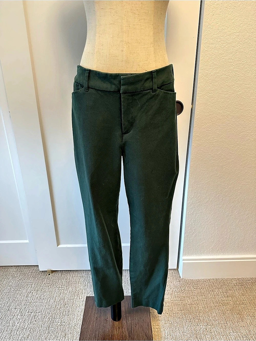 High-Waisted Pixie Skinny Ankle Pants